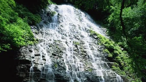 电子高质量节能